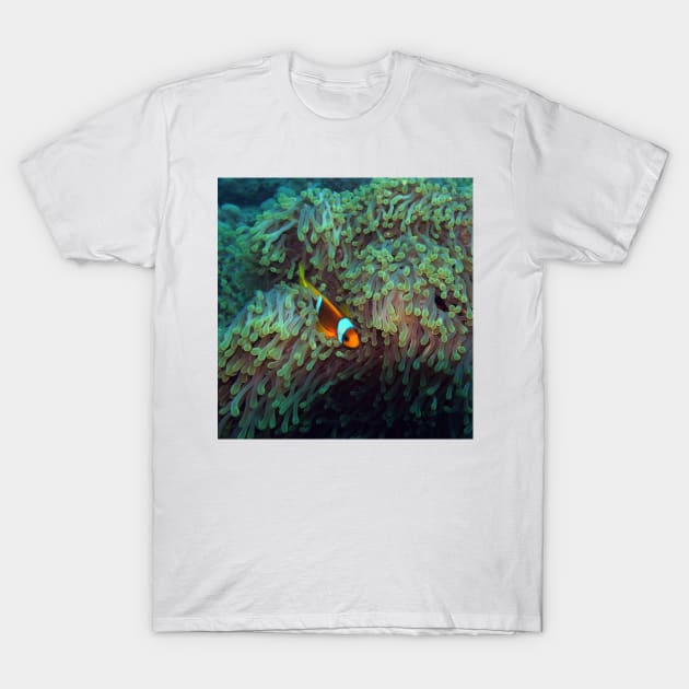 Clownfish in the Sea Anemone T-Shirt by likbatonboot